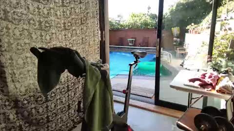 Snapshot of daddycache chatting on November 9, 3:43 pm bas online show from November 9, 3:43 pm