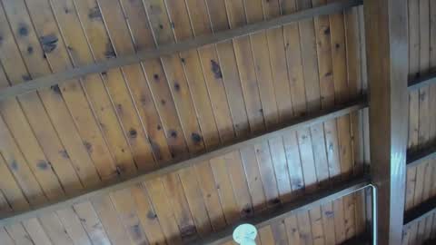 dafne_hillss online show from September 27, 2:00 pm