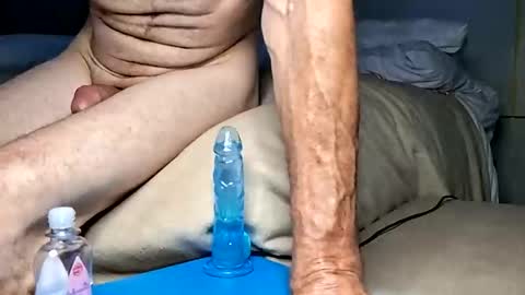 daileyrobert15 online show from April 11, 7:56 am