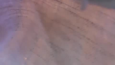 Snapshot of daisy9kat chatting on March 8, 6:44 pm Daisy137 online show from March 8, 6:44 pm