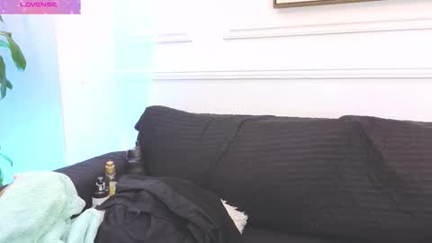 Daisy Price online show from February 19, 11:39 am