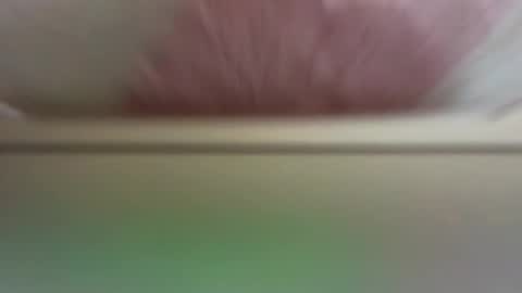 Daisy online show from March 19, 11:36 am