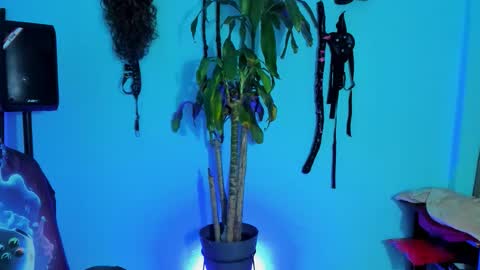 Damian torner online show from October 28, 7:56 am