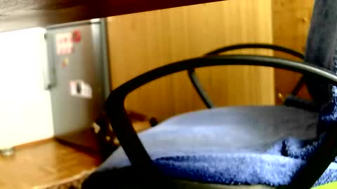 Dammerl online show from April 3, 1:31 pm