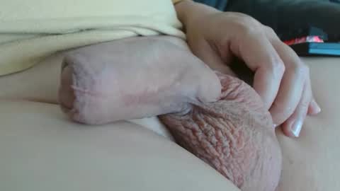 Damocles online show from October 22, 12:27 pm