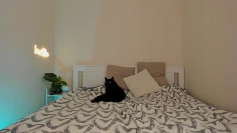 Dana online show from December 1, 10:15 pm