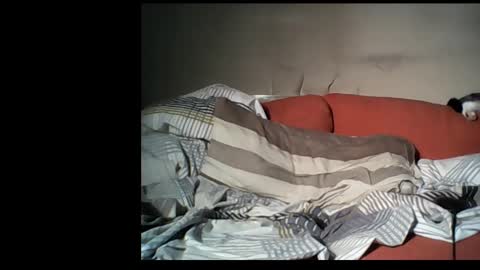 dane1982 online show from January 1, 4:39 pm