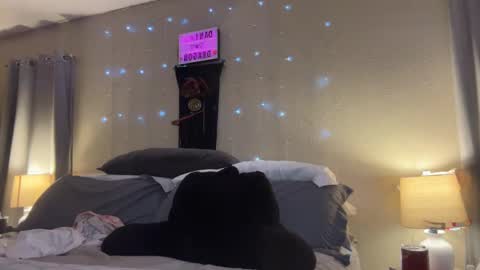 Dani Dragon online show from January 16, 10:32 am