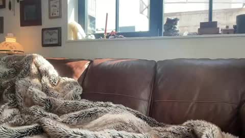 Snapshot of danielbishopxxx chatting on March 1, 8:00 pm Daniel Bishop Mason online show from March 1, 8:00 pm