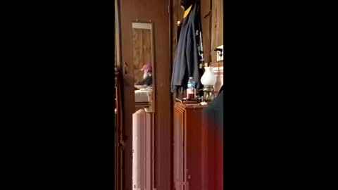 danielgilligan586677889 online show from April 19, 2:55 am