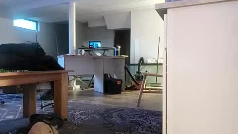 danimal5000 online show from November 17, 3:07 pm