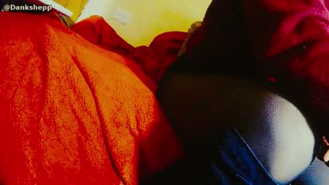 dandeb online show from January 11, 1:27 pm