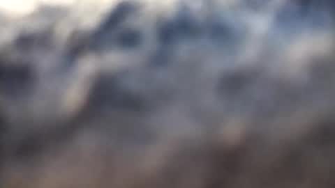 Snapshot of dannowisc chatting on February 17, 2:52 am dannowisc online show from February 17, 2:52 am