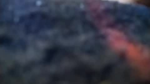 Snapshot of dannowisc chatting on February 20, 4:09 am dannowisc online show from February 20, 4:09 am