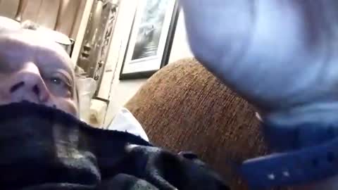 dannowisc online show from March 15, 12:00 pm