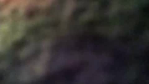 dannowisc online show from April 8, 2:55 am