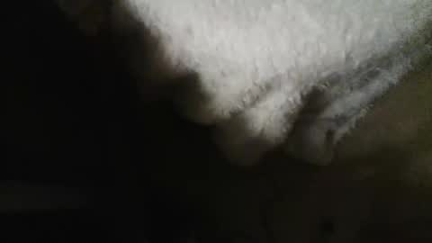 Danielle online show from October 30, 9:22 am