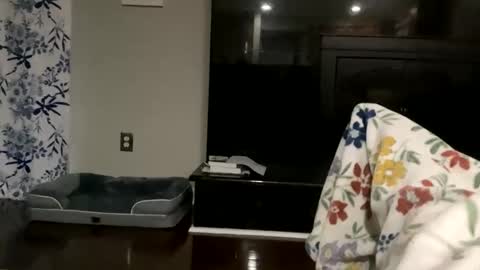 Snapshot of dannyboy621 chatting on October 17, 11:24 am dannyboy621 online show from October 17, 11:24 am