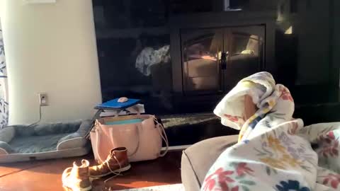 Snapshot of dannyboy621 chatting on November 2, 1:24 pm dannyboy621 online show from November 2, 1:24 pm