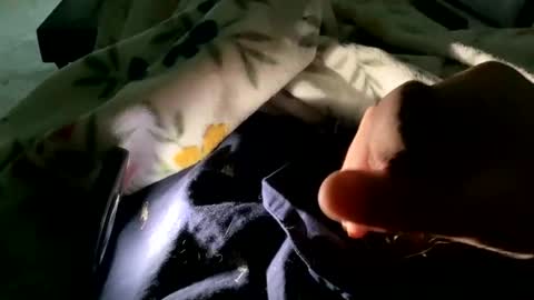 dannyboy621 online show from November 9, 1:53 pm