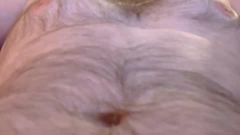 Master Dan online show from March 26, 8:09 am