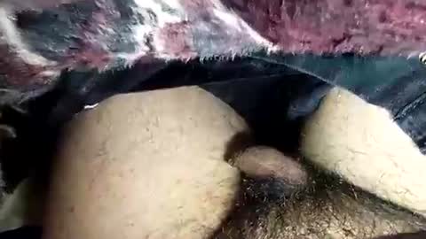 dansweetie_20 online show from February 12, 10:27 pm