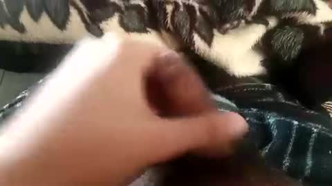 dansweetie_20 online show from February 20, 12:18 am