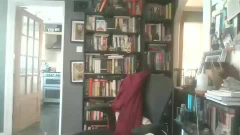 Darcy online show from March 26, 3:17 pm