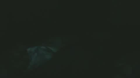 Snapshot of dare2do1 chatting on November 18, 7:29 pm dare2do1 online show from November 18, 7:29 pm