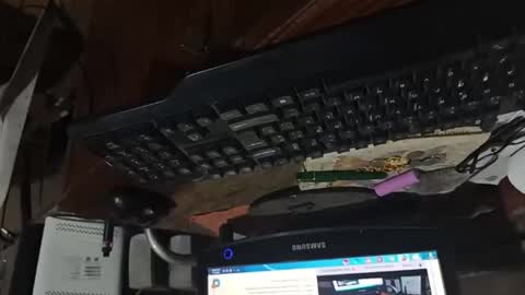 Snapshot of dario48 chatting on November 3, 6:47 am dario48 online show from November 3, 6:47 am