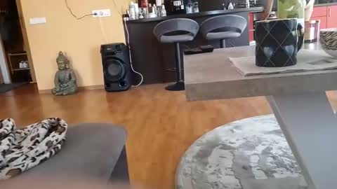 dxd69 online show from April 9, 2:00 pm