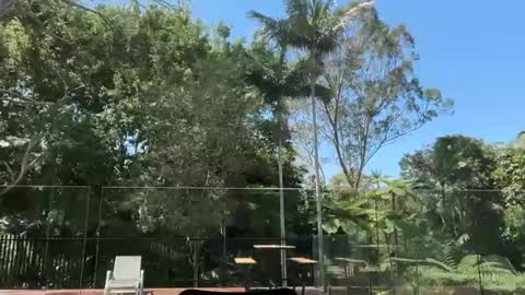 dartanian0001 online show from September 30, 2:05 am