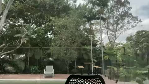 dartanian0001 online show from October 1, 12:38 am