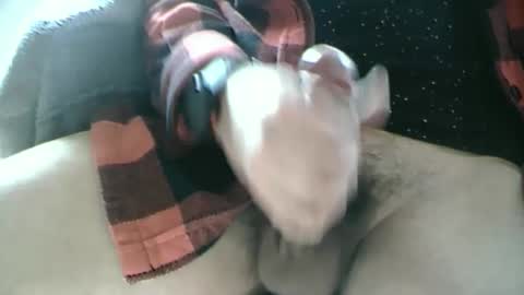 Dartrok online show from February 17, 12:59 pm