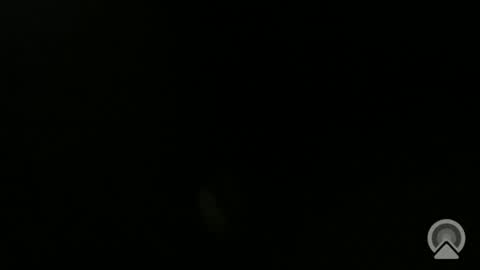 Snapshot of daveeveline chatting on November 11, 12:38 pm daveeveline online show from November 11, 12:38 pm