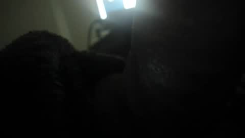 david089613 online show from January 13, 7:08 pm