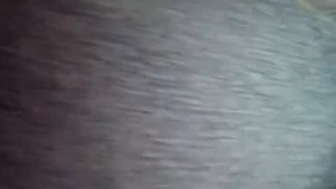 David1438 online show from April 12, 11:37 am