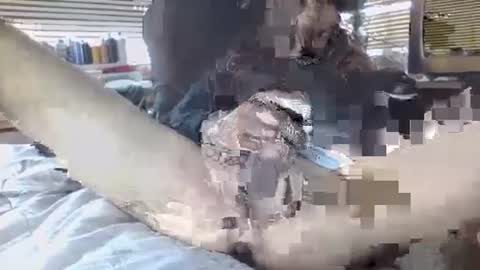 Snapshot of davinsdick chatting on September 30, 6:35 pm Your daddy online show from September 30, 6:35 pm