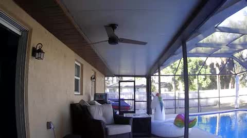 Dazey online show from January 7, 8:55 pm