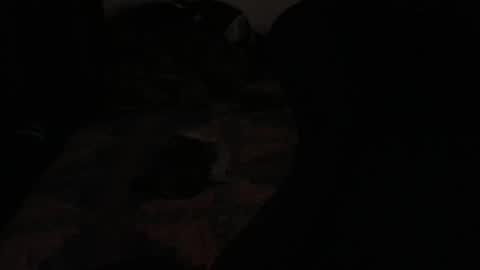 DC online show from November 23, 2:22 am