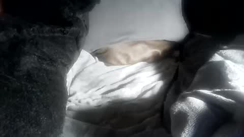 ddick0303 online show from April 12, 5:40 pm