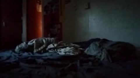 Dan online show from April 1, 11:33 am