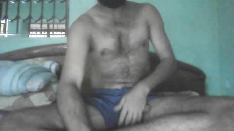 Haddock 07 online show from November 23, 5:29 am