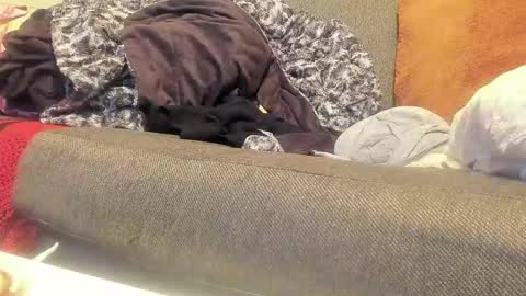 Snapshot of deeznutz343 chatting on September 9, 1:38 am Deez Nutz online show from September 9, 1:38 am