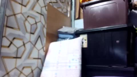 Snapshot of deliciousgirl975840 chatting on June 1, 7:15 pm deliciousgirl975840 online show from June 1, 7:15 pm
