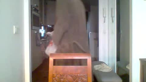 demundu online show from November 17, 1:17 pm