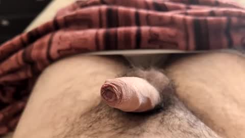 LilRoach online show from February 5, 2:26 pm