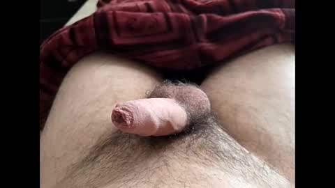 LilRoach online show from February 10, 2:21 pm