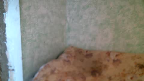 DennisXCarol online show from April 23, 10:14 am