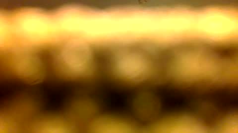 Marcus D-von Steel as the raunchy ass sniffer thrill me with your online show from April 11, 10:41 am